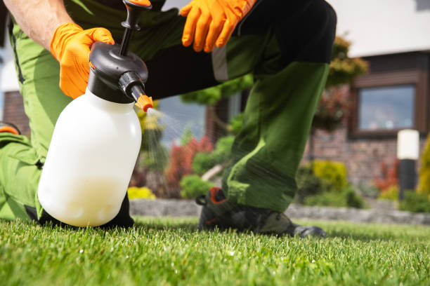 Best Spider Control Near Me  in Bay City, MI