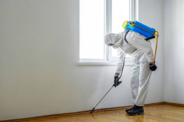 Best Mosquito Control Services  in Bay City, MI