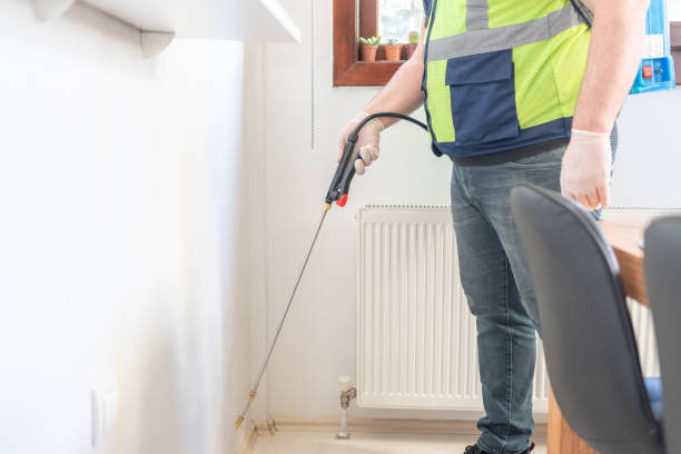 Best Affordable Pest Control Services  in Bay City, MI