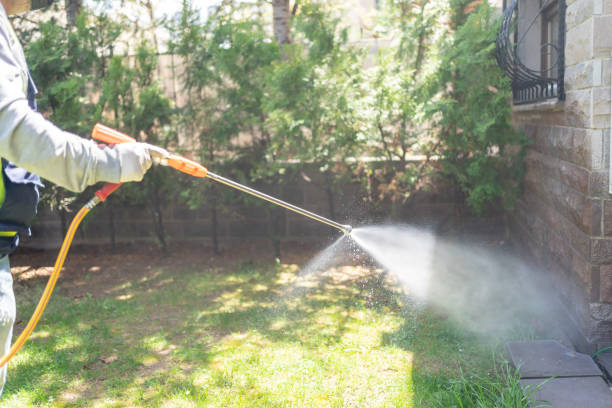 Best Best Pest Control Companies  in Bay City, MI