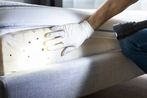 Best Pest Inspection Near Me  in Bay City, MI