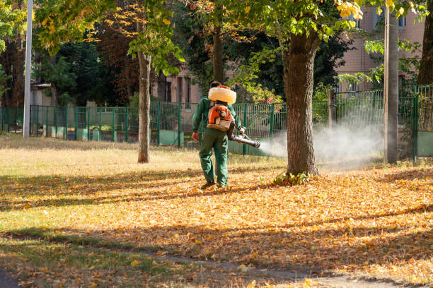 Best Best Pest Control Companies  in Bay City, MI