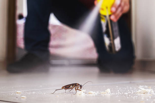 Best Commercial Pest Control Services  in Bay City, MI
