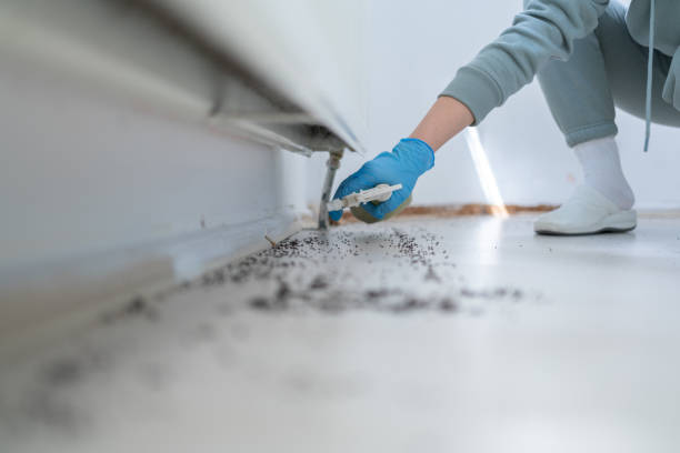 Bird Control in Bay City, MI