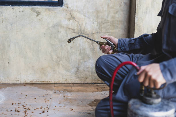 Professional Pest Control in Bay City, MI